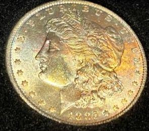 What-Grade-Morgans-And-?-Worth-Cost-Of-Grading