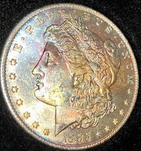 What-Grade-Morgans-And-?-Worth-Cost-Of-Grading