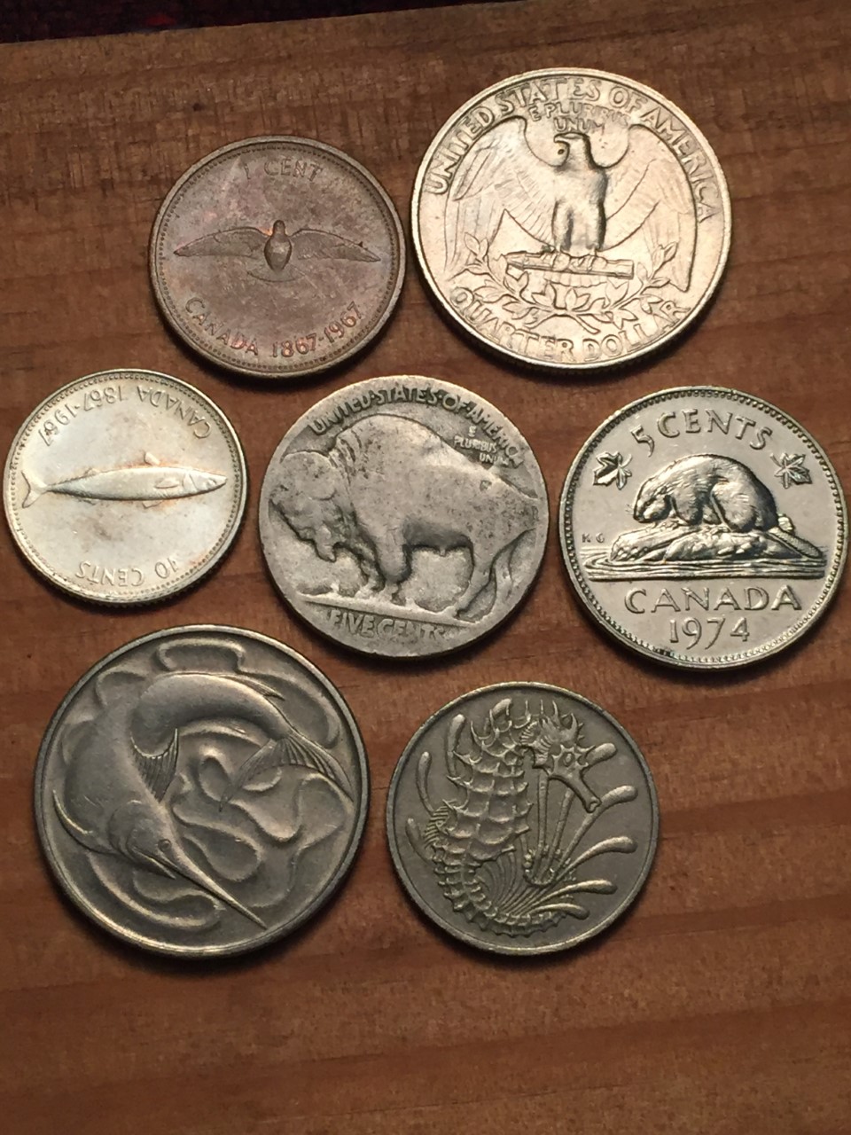 Post-Your-Coins-Representing-The-Animal-Kingdom.