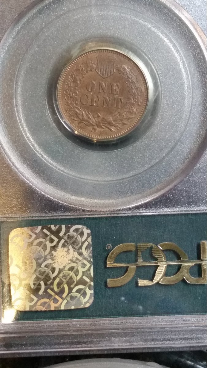 51-Days-Of-Flying-Eagle-And-Indian-Head-Cents!---Part-4!!