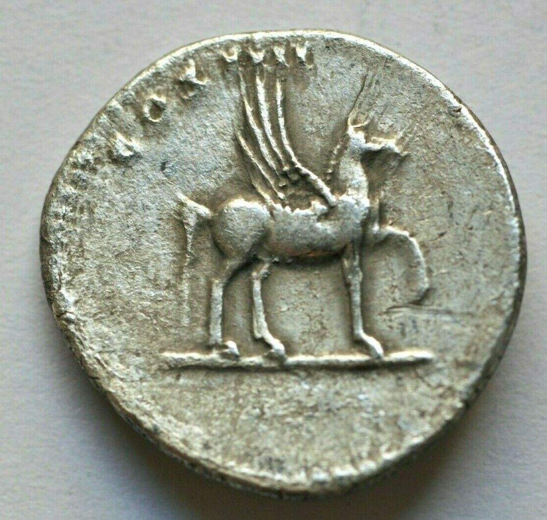 Domitian-Denarius-Not-Sure-On-This-One.