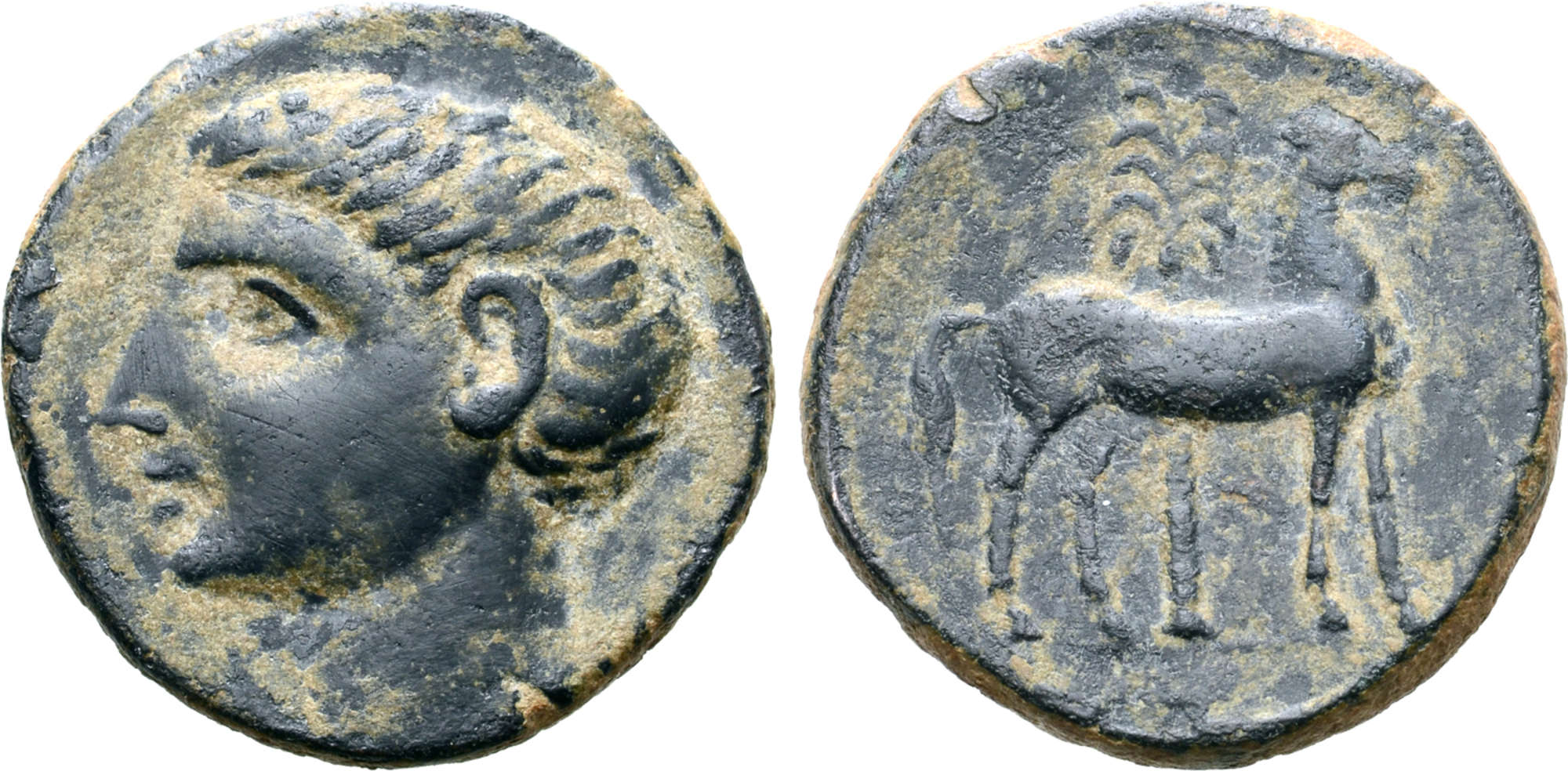 My-Cartago-Nova-Scipio-Africanus-Coin