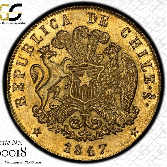 Show-Off-Your-Large-27+-G-Gold-Coins-From-Around-The-World