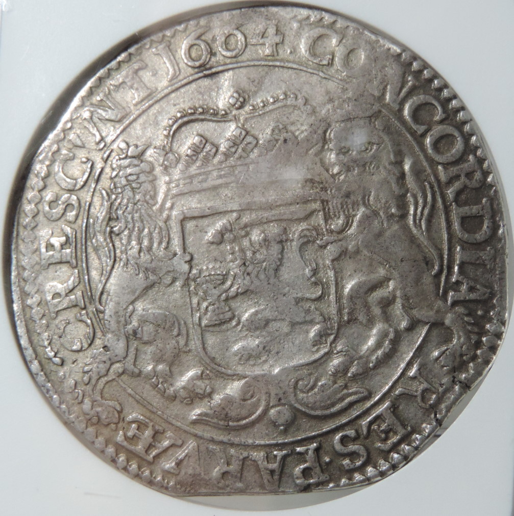 Continuing-List-To-Show-Everyones-Latest-Acquisitions