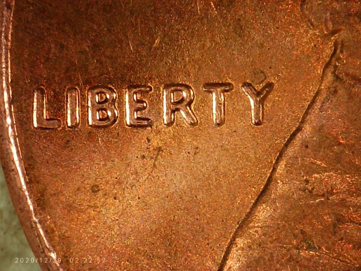 2019-Shield-Penny-DDO-Or-Not--?