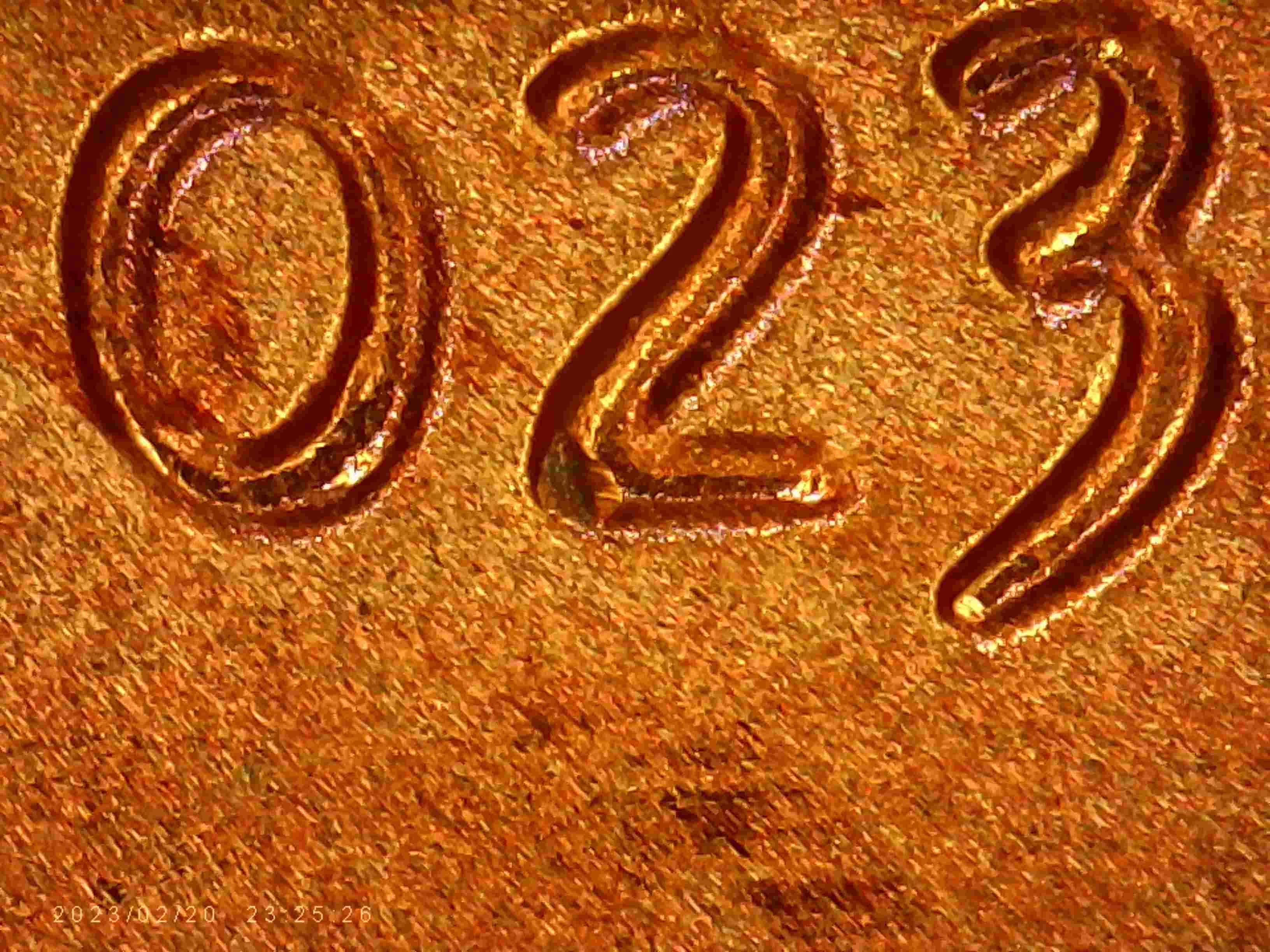 2023-LSC-Is-This-DDO-?--Or-Is-This-Common-On-These?-Thanks-Bentpenny-.