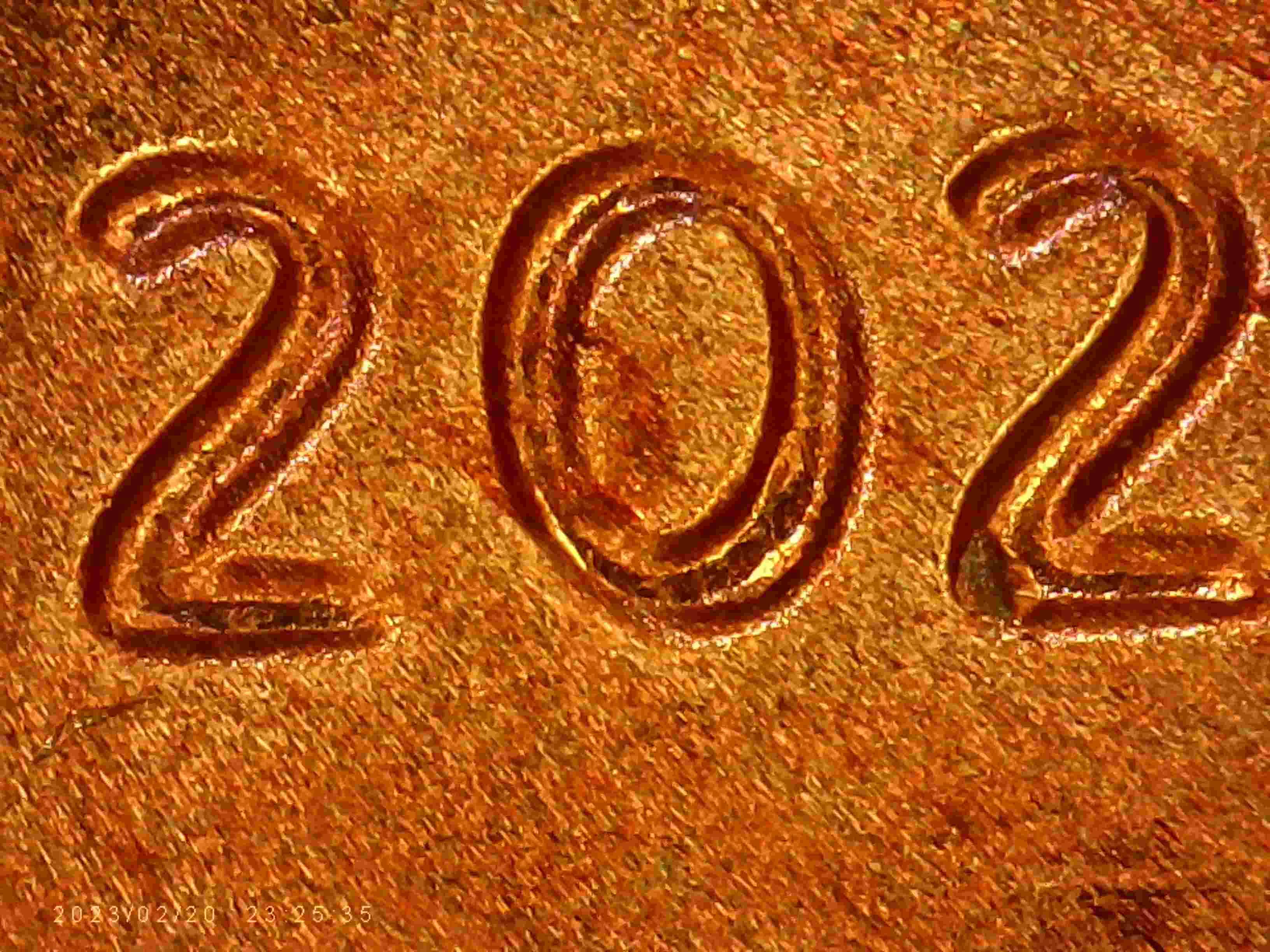 2023-LSC-Is-This-DDO-?--Or-Is-This-Common-On-These?-Thanks-Bentpenny-.