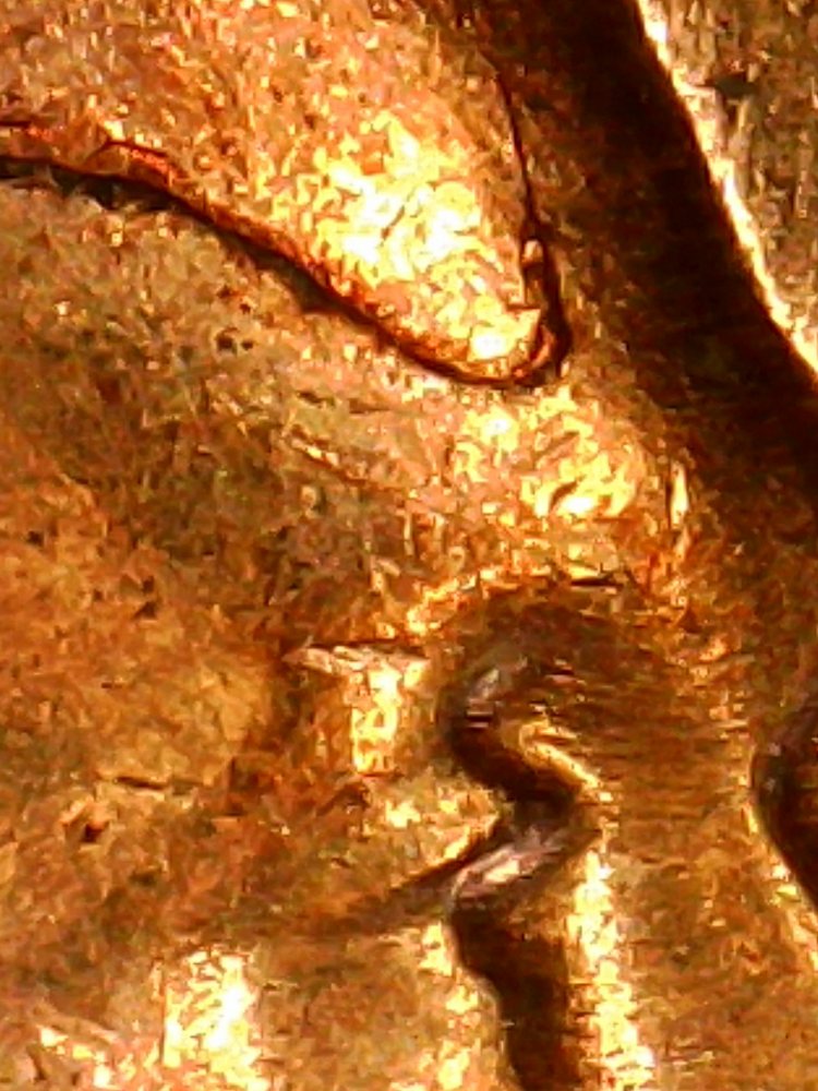 1959-D.-LMC.-Is-This-Considered-A-Double-Eye-Lid?-Thanks-Bent.