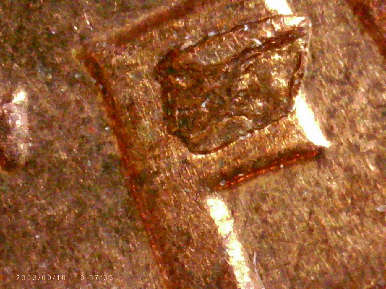 1959-D-LMC.-Is-This-Die-Chip?-Or-From-Another-Coin?-Looks-Like-There-Is-Letters--On-It.-Thanks-Bent.
