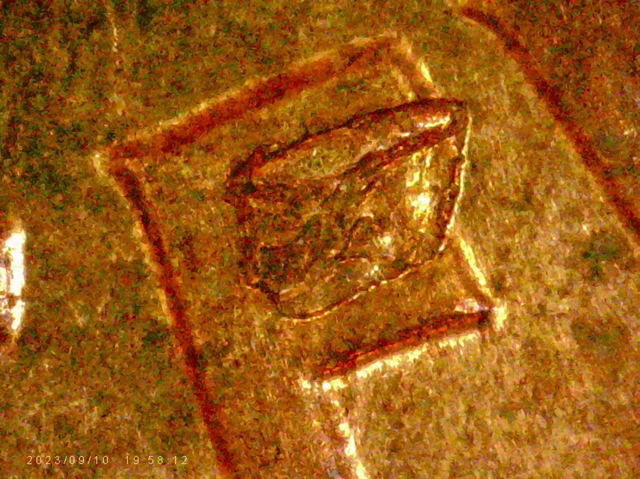 1959-D-LMC.-Is-This-Die-Chip?-Or-From-Another-Coin?-Looks-Like-There-Is-Letters--On-It.-Thanks-Bent.