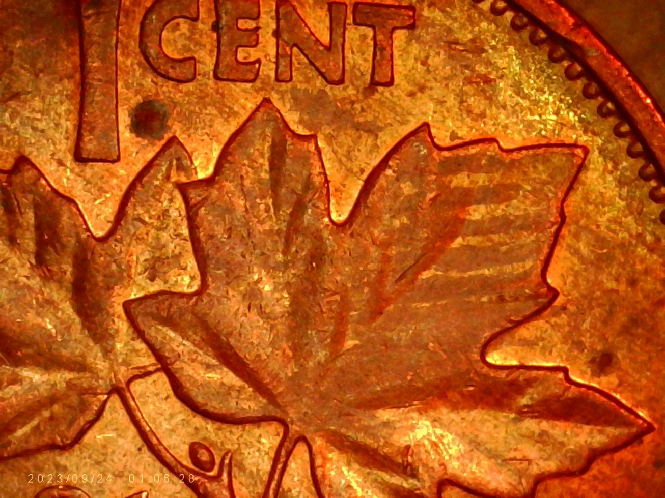 1981-Maple-Leaf-Cent-Is-This-Normal-For-This-Cent?-And-What-Is-On-The-Maple-Leaf?
