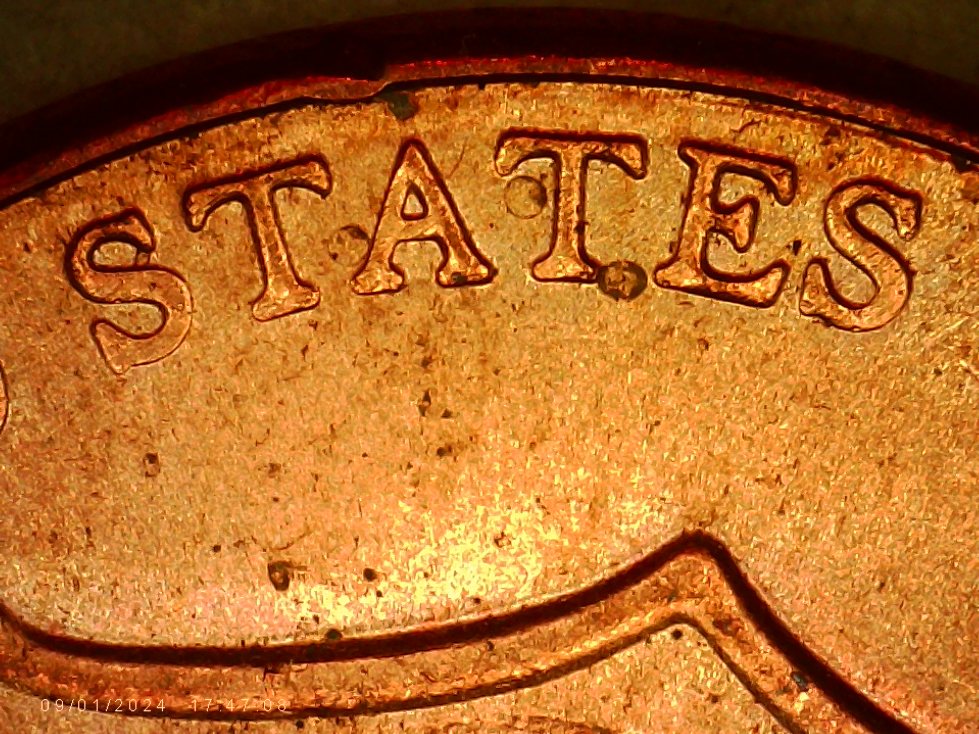 2021-LSC-DDO--VDDO-001-?