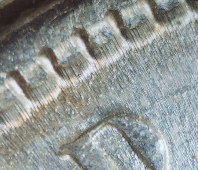 1887-P-Morgan-Silver-Dollar,-A-Little-Help!