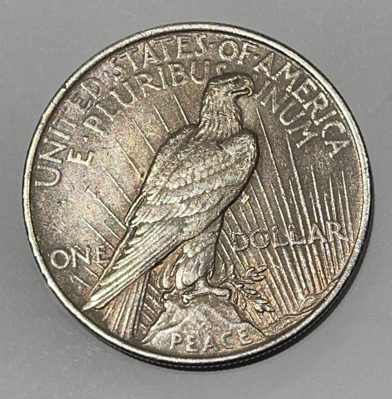 1922-Peace-Dollar---Need-Help-For-Grading-And-Any-Possible-Errors?