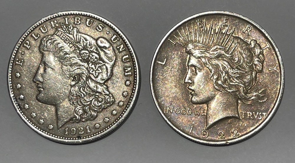1921-Morgan-Dollar---Same-Need-Help-For-Grading-And-Any-Errors?