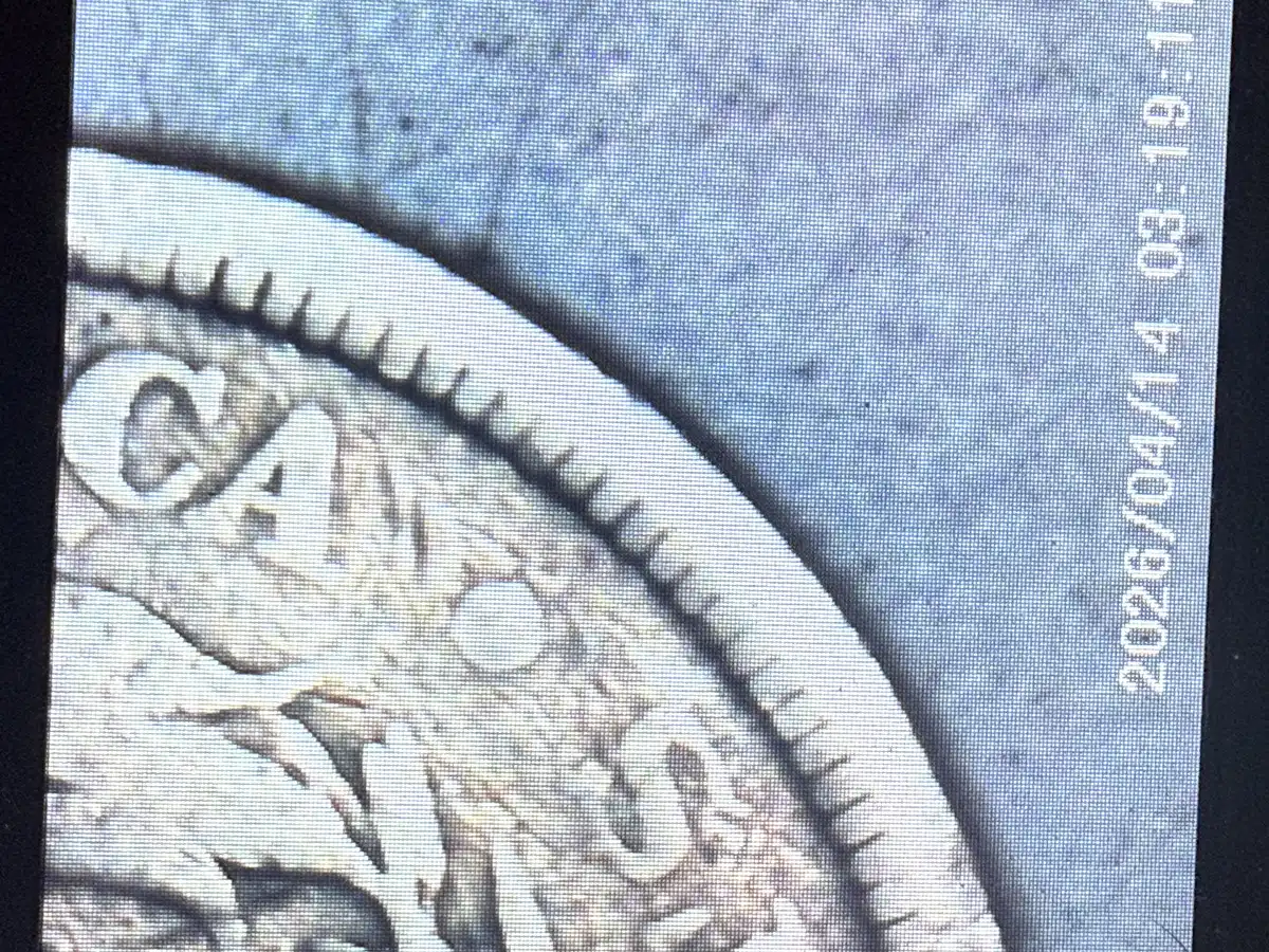 1903-S-Liberty-Nickel?