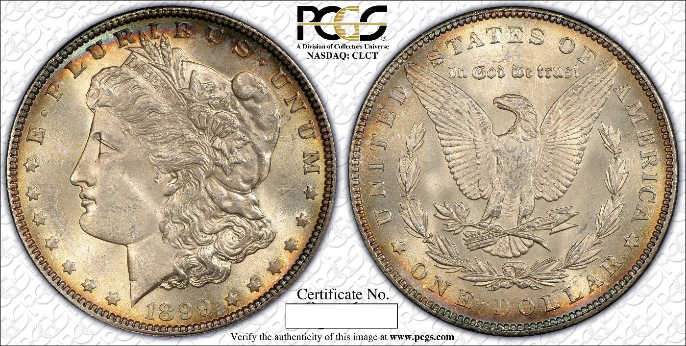 Latest-Purchase-1899-P-Morgan-Dollar-Guess-The-Grade