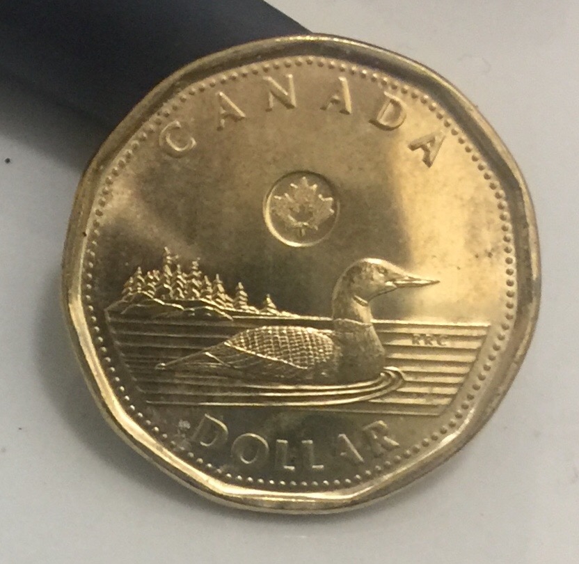 Found-A-Queen-Mask-Loonie-While-Looking-For-Mask-Twoonie,-Is-It-Real?