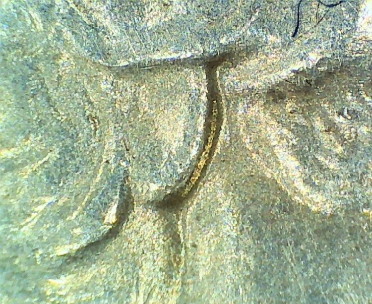 1932-Washington-Quarter-Doubled-Die.-It-Couldn't-Be.