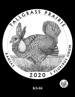 Images-For-The-2020-America-The-Beautiful-Tallgrass-Prairie-National-Preserve-Kansas-Quarter