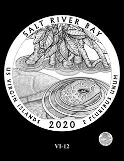 Images-For-2020-ATB-Salt-River-Bay-National-Historical-Park-&-Ecological-Preserve-Virgin-Islands-25�