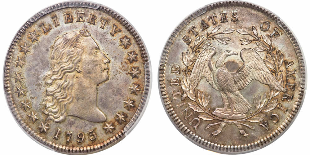 Seldom-Seen-Selections:-The-Finest-Known-1795-Dollar-With-Silver-Plug