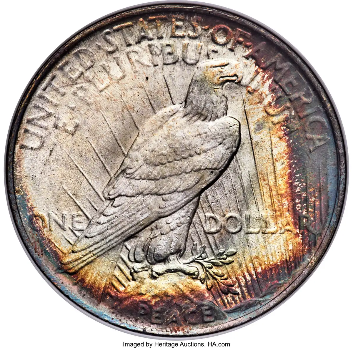 The-Coin-That-Started-A-Raging-Internet-Debate:-1924-Peace-Dollar,-You-Versus-NGC