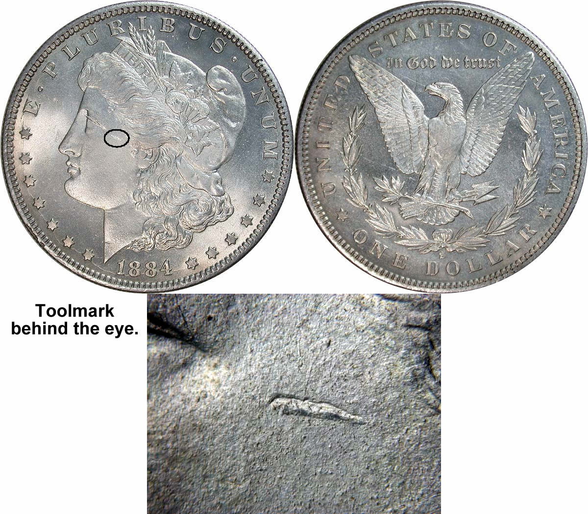 Counterfeit-Detection:-1884-S-Morgan-Dollar-