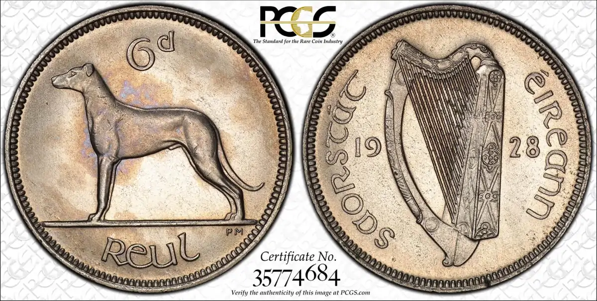 Dogs-On-Tokens-And-Coins