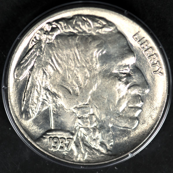 Should-I-Try-To-Upgrade-This-Buffalo-Nickel?