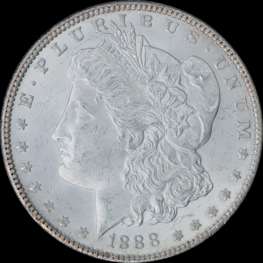 Morgan-Dollar-1888,-Near-Slanted-Date-VAM?
