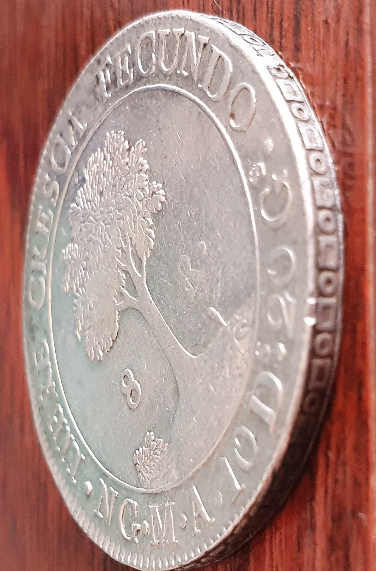 8-Reales-Central-American-Republic