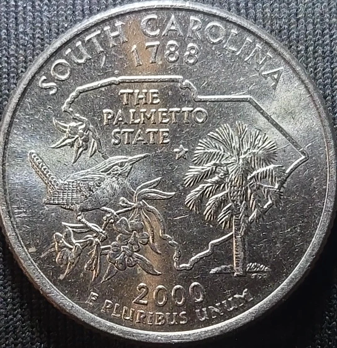 2000-P-South-Carolina-Error?