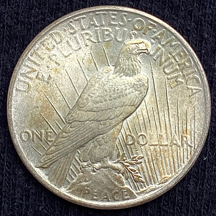 1925-Peace-Dollar-For-Grading.