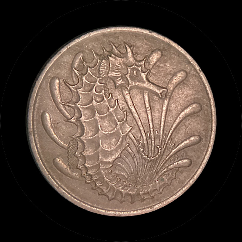 How-Do-You-Correctly-Illuminate-Macro-Shots-In-Indirect-Sunlight?