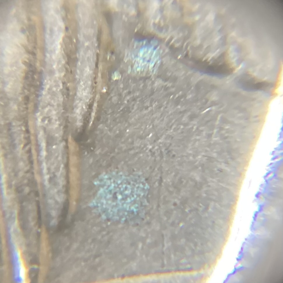 Clad-Ike:-Is-This-Verdigris?
