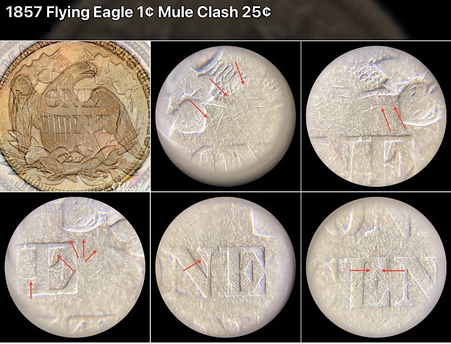 1857-Flying-Eagle-Cent,-Mule-Die-Clash-With-Quarter-Snow-8,-FS-901.