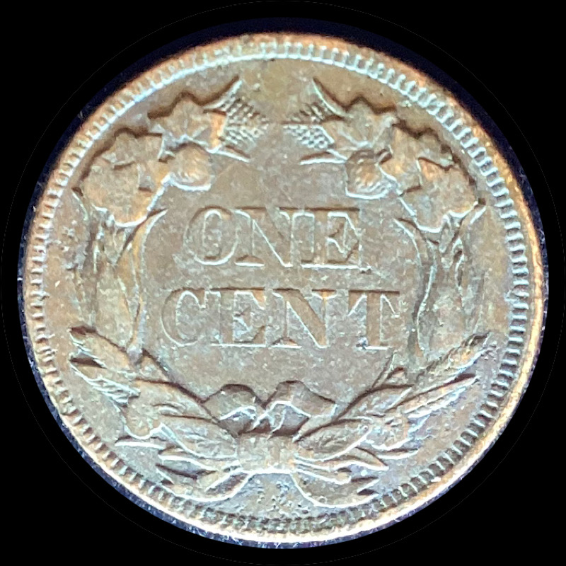 Another-1857-Flying-Eagle-Cent,-Mule-Clash-With-Quarter-Snow-8-FS-901.