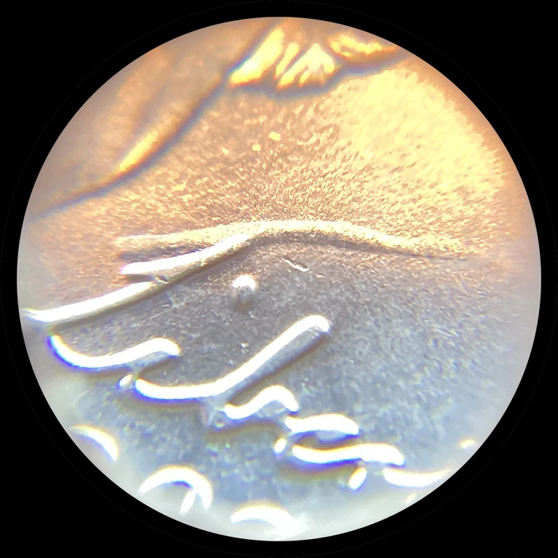 2022-P-Nickel-With-Die-Dent,-Hubbed-In-Debris,-Or-Mystery-Squiggles.