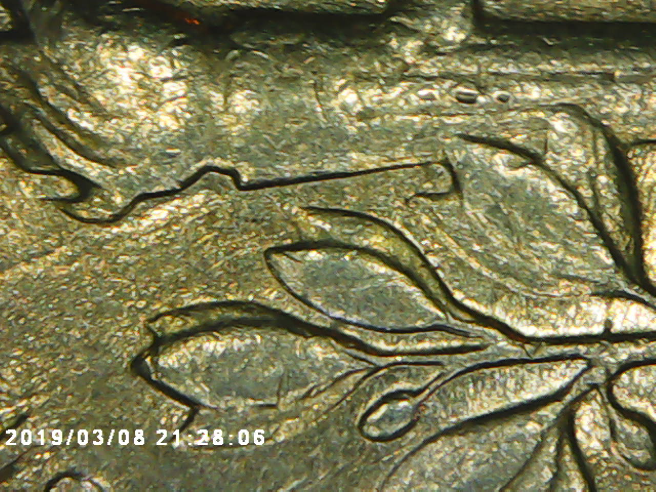 1978-Roosevelt-Dime-Possible-Double-Die-?-Experts-Needed