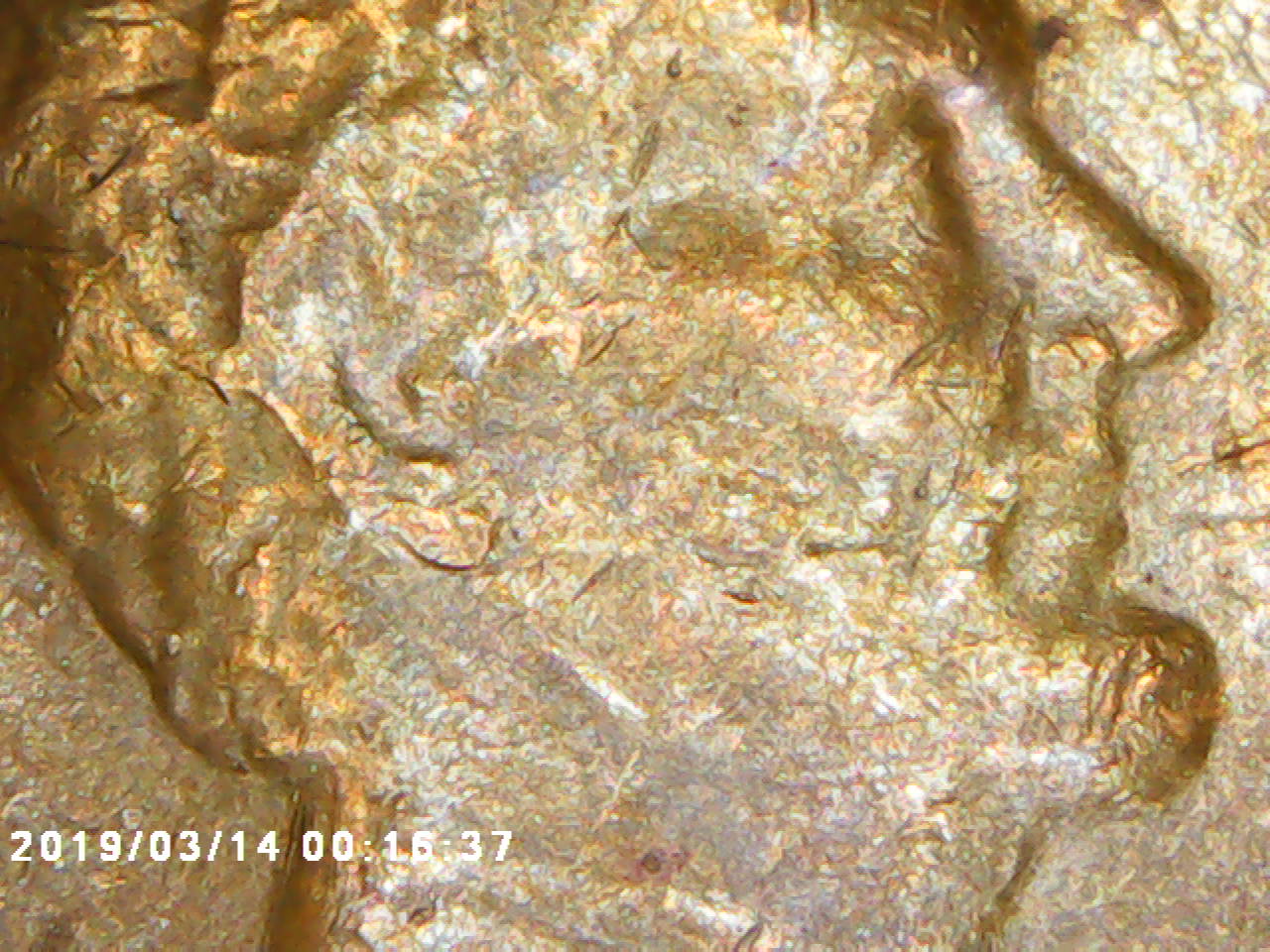 1975-Penny-Doubled-Die?