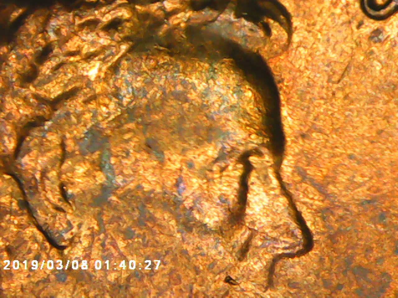 1982-Nmm,-LMC-Weight-Is-3.1-Grams-Dont-Know-If-Large-Or-Small