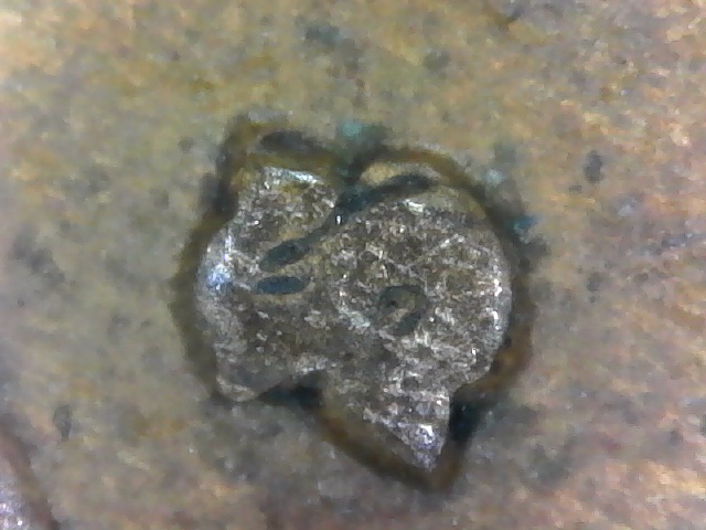 1940-S-Wheat-Cent-DD?-Grease-Filled?
