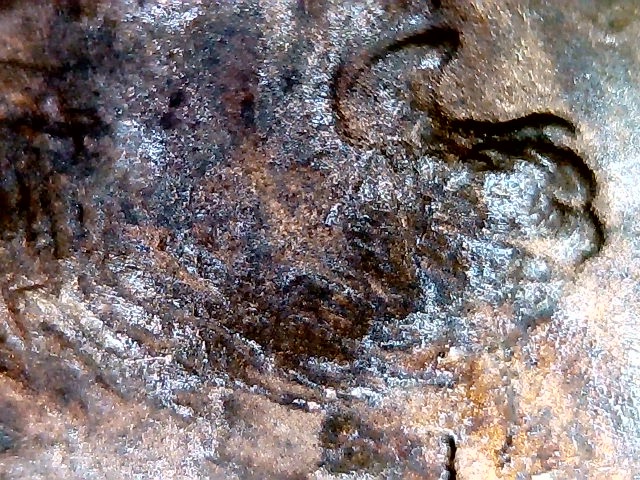 1992-D-LMC;-Questions-On-Obverse,-Extra-Beard?