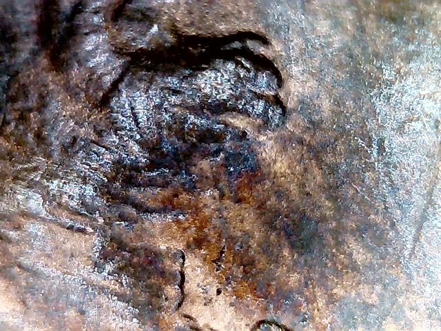 1992-D-LMC;-Questions-On-Obverse,-Extra-Beard?