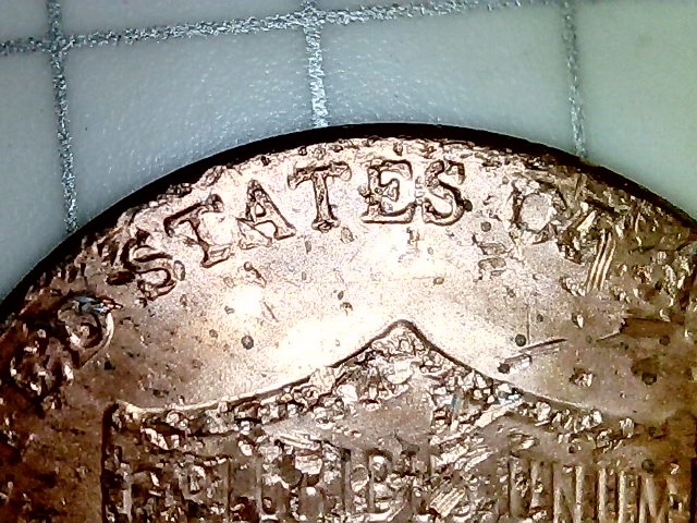 2019-D-LSC-Questions-On-Obverse-And-Reverse