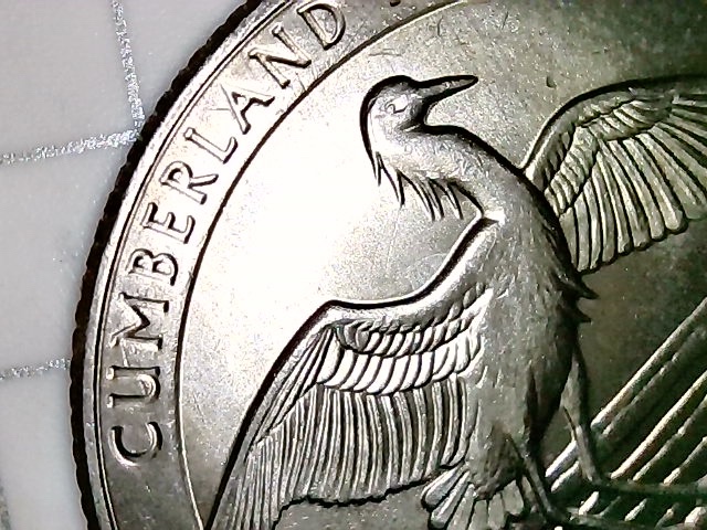 2018-D-Cumberland-Island--Struck-Through-Grease-Obverse-Vertical-Lines-?