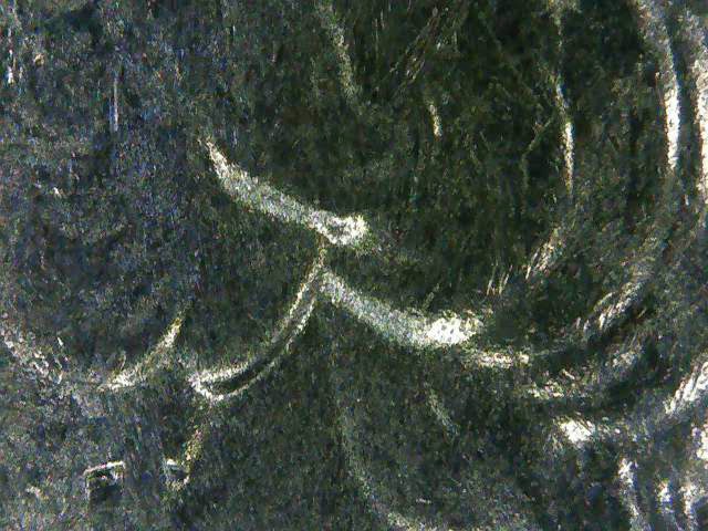 2019-D-American-Memorial-Park-Quarter-DDO-Or-MD-On-Obverse?-Liberty--In-God-We-Trust?