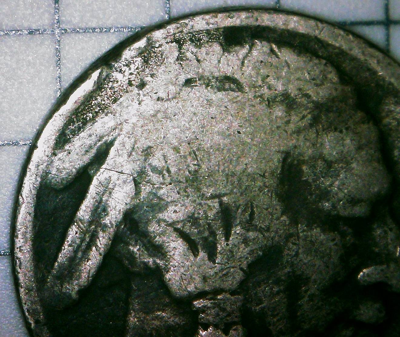 Possible-Extra-Mint-Mark-On-Dateless-Buffalo-Nickel