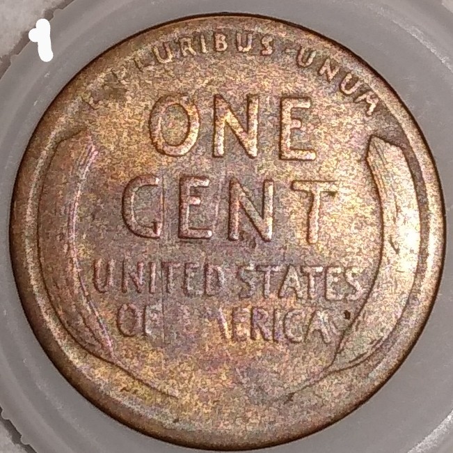 Woody-Cents,-Good-Looking-Coins-Just-Not-Sure-If-They-Are-Or-Not.